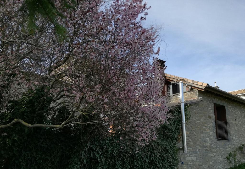 Villa O Zierzo Jaca Exterior foto